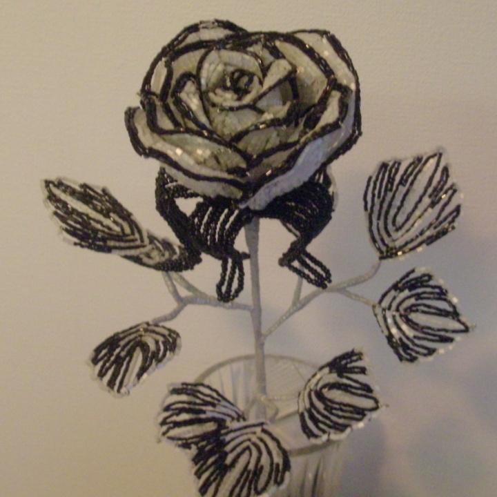 Frosts Rose picture no. 2