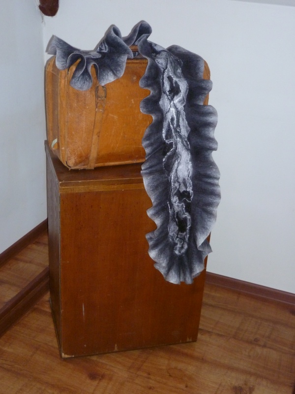 Šalis