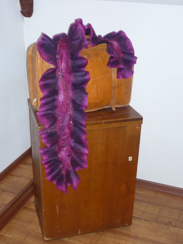 Šalis