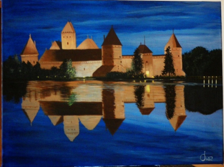 " The castle night lights "