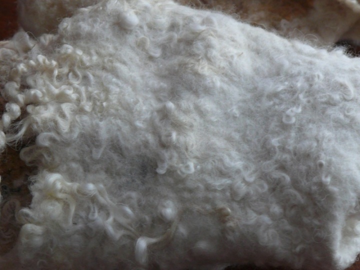 Mittens " Carskaja ohota " picture no. 3