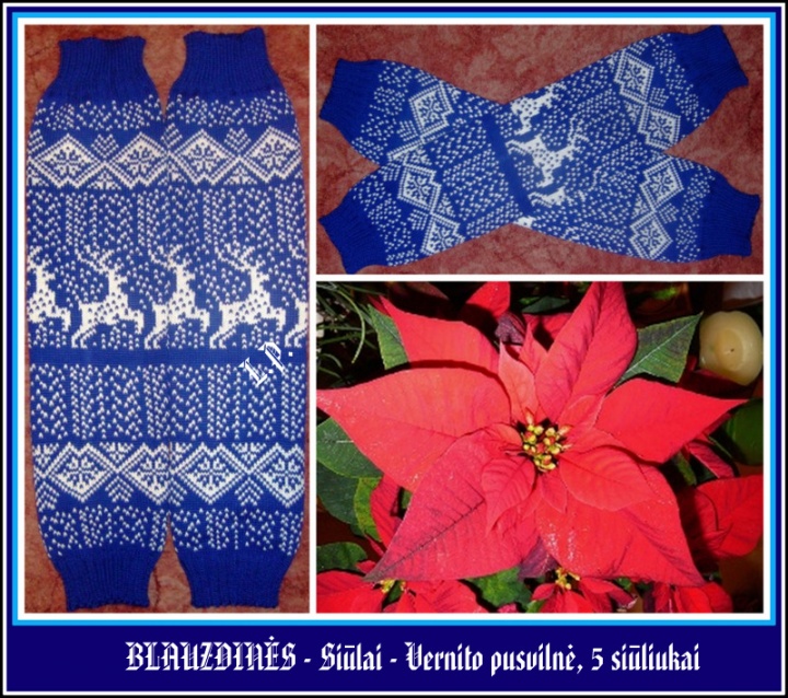 Blauzdinės
