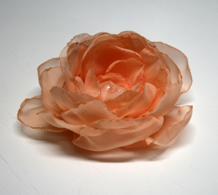 Sage " Peach blossom " picture no. 2