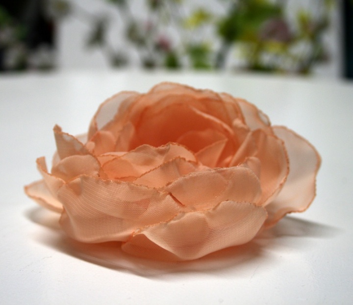 Sage " Peach blossom " picture no. 3