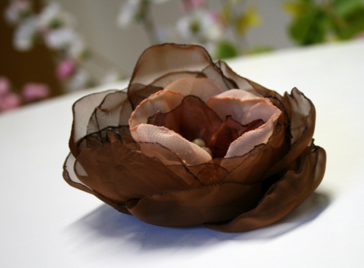 Sage " caramel Schokolade " picture no. 2