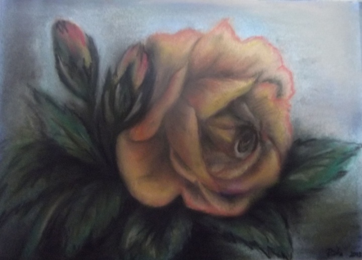 Rozes
