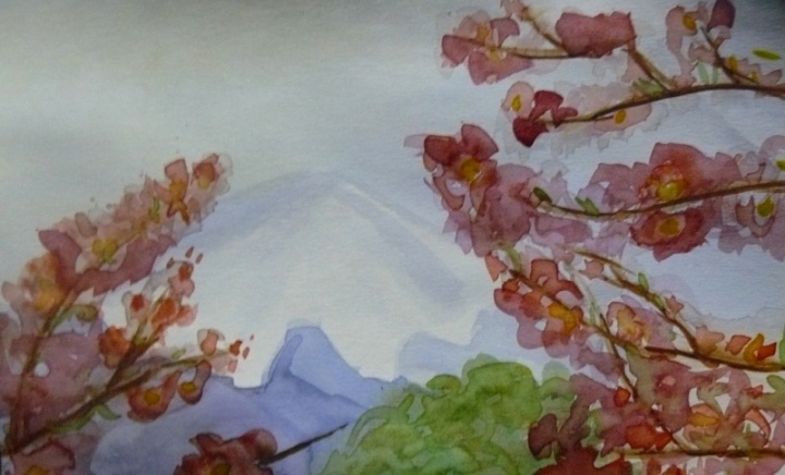Sakura