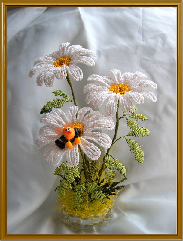 Daisies