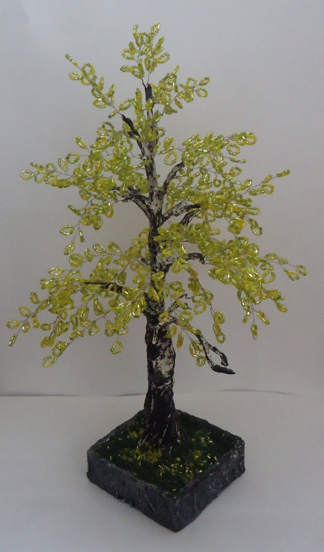 Birch