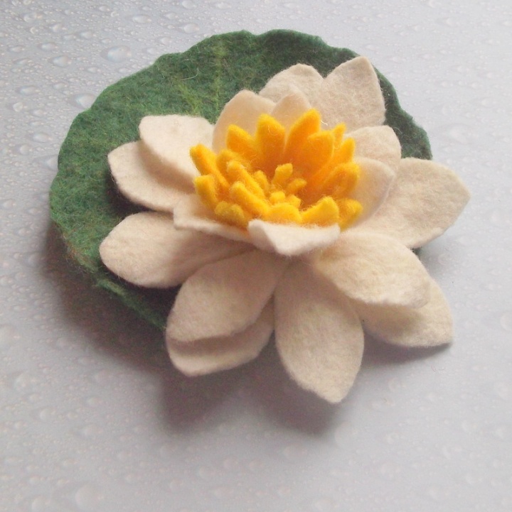 white water lily
