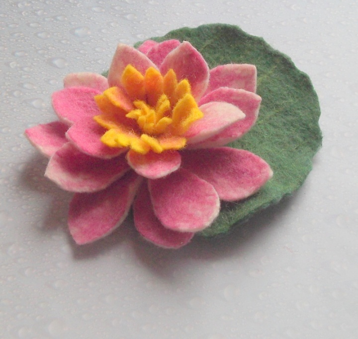 Pink water lily