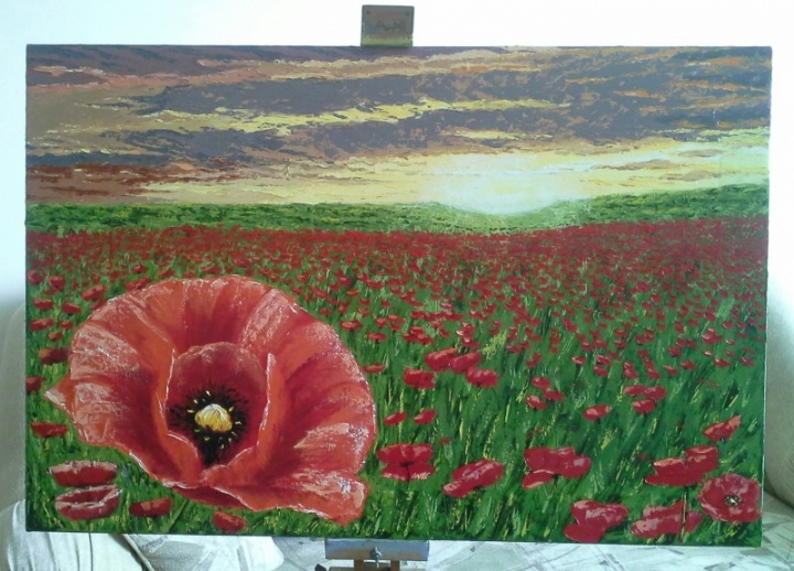 Poppy field