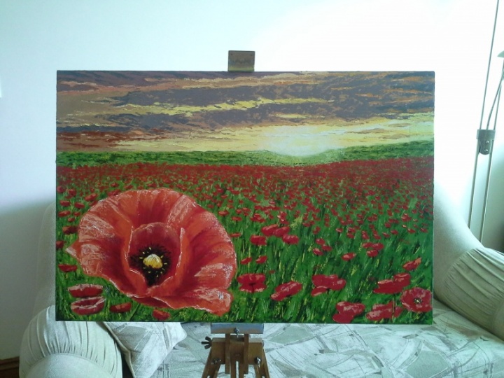 Poppy field picture no. 2