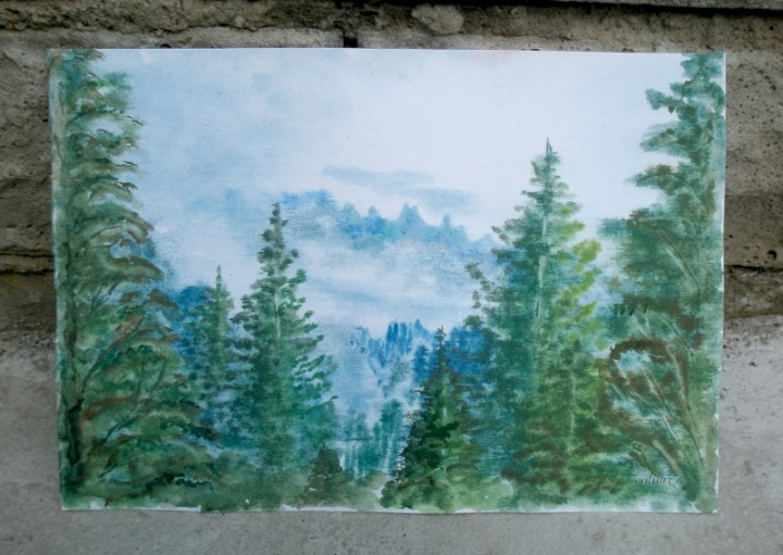 wild nature