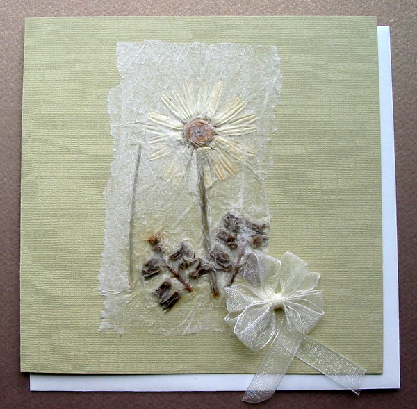 Greeting Card 4