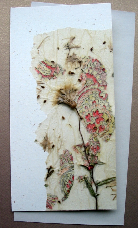 Greeting Card 7