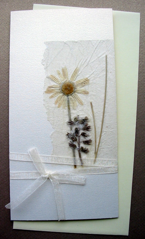 greeting card 11