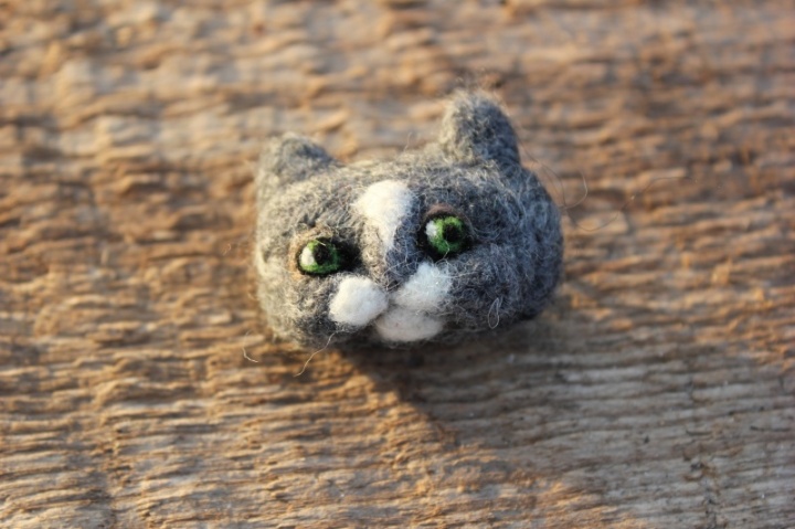 Sage "pilkas katinelis zaliomis akimis "