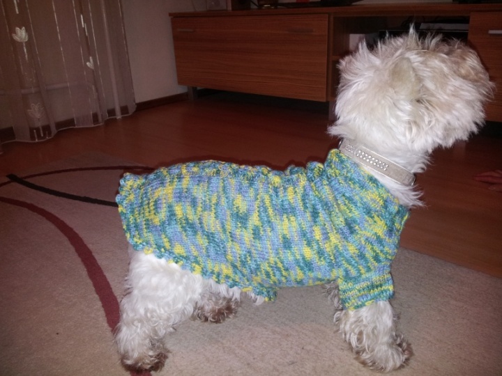 Puppy sweater