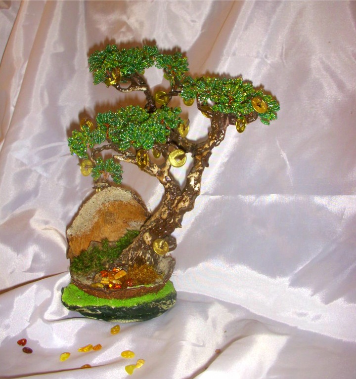 money tree