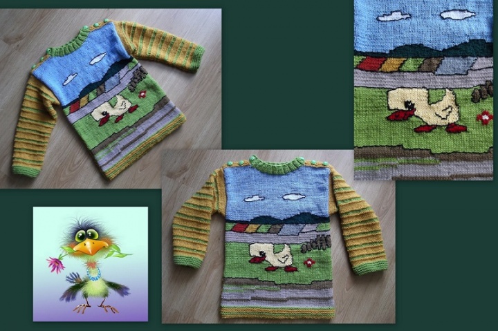 Sweater " Duck "