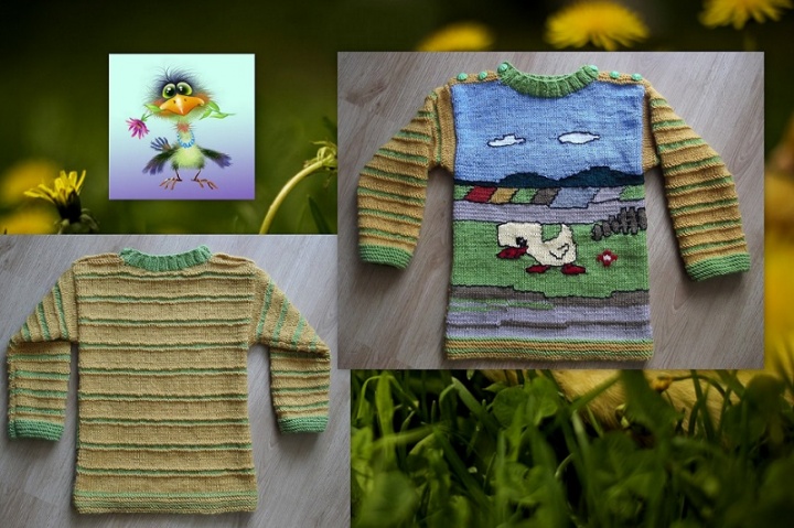 Sweater " Duck " picture no. 2