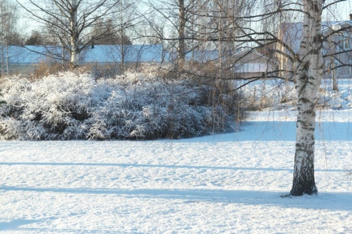 Cold white hot picture no. 3