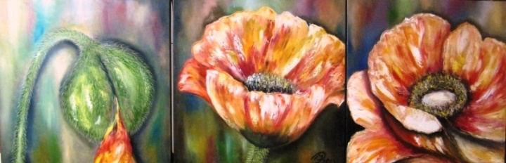Trilogy " poppy blooms "