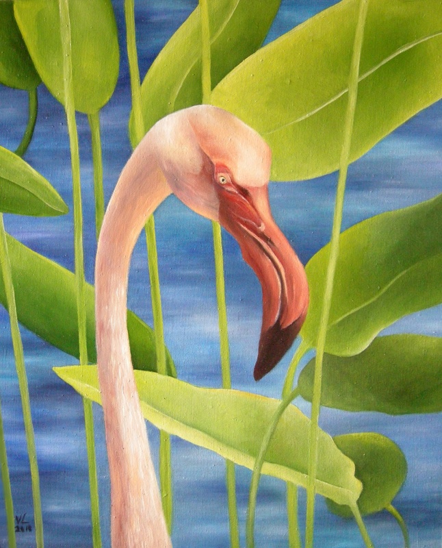 Flamingo 50x62
