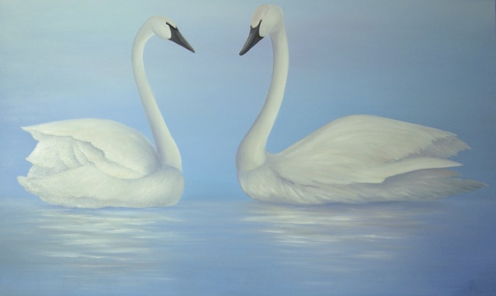 Gulbės 100x60