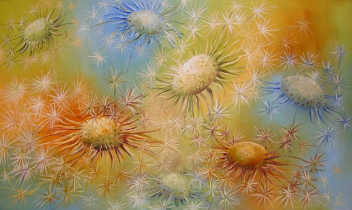 Fuzz tenderness 50x30