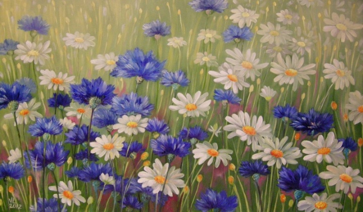 daisies and cornflower 50x30