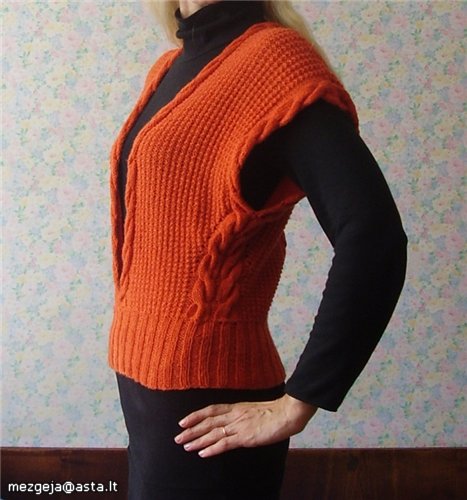 Vest