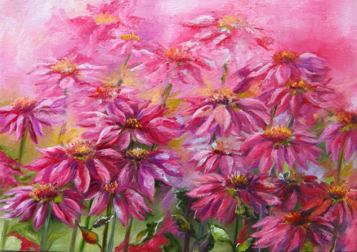 Rausvažiedės ežiuolės 50x35