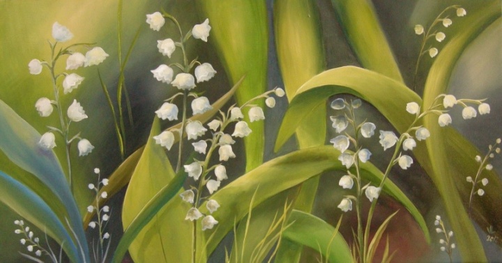 pearls Spring-50x25