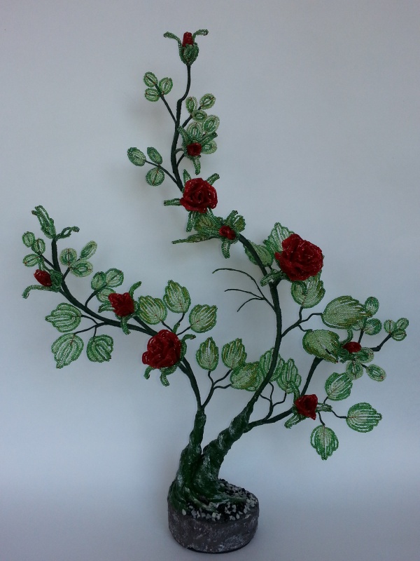 Rose bush