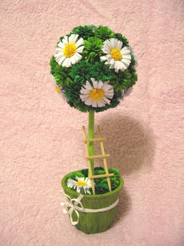 Camomile topiary /Laimes medis "Ramune "