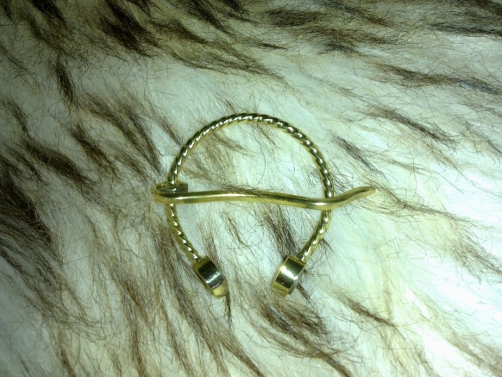 Pasaginė brooch
