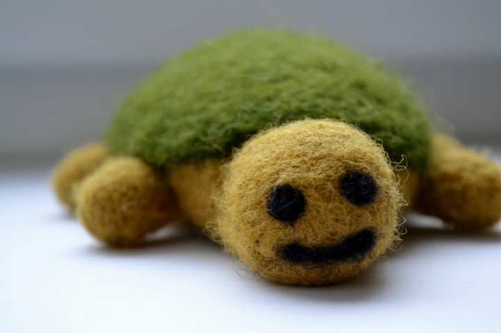 Turtle Theodore