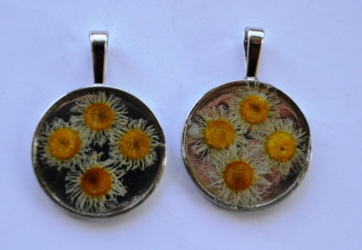 Pendants with certain camomile