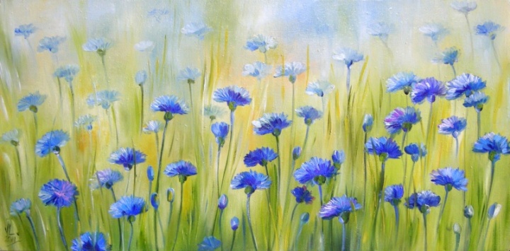 Cornflower meadow 60x30