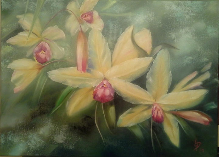 ORCHID