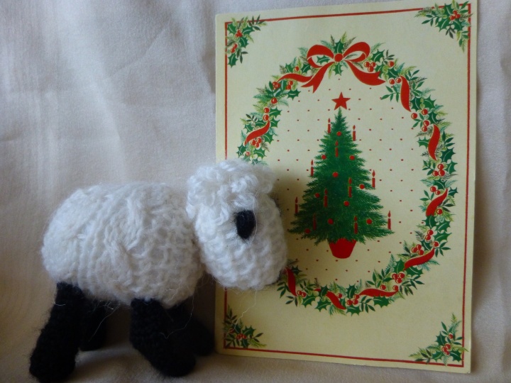 Christmas sheep