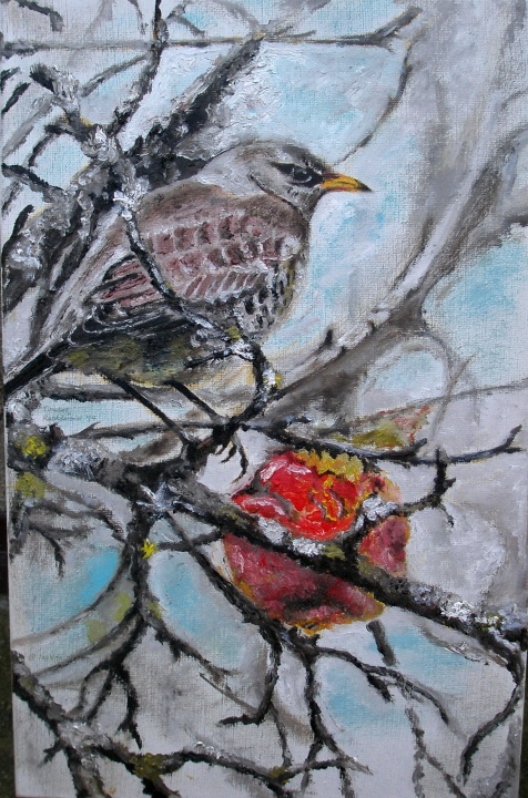 " Thrush and apple "