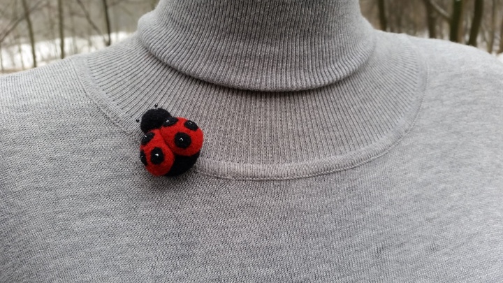 Ladybird picture no. 2