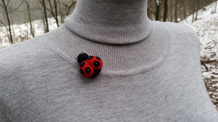 Ladybird