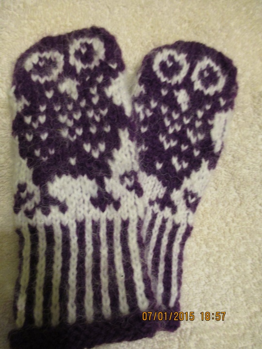 Owlet