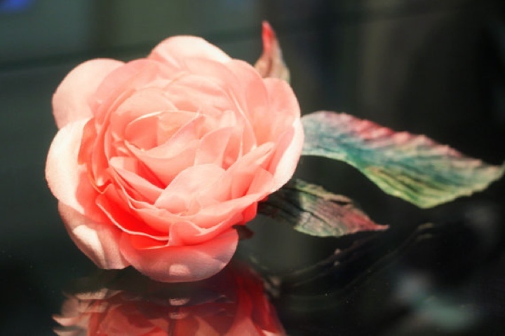 Silk Rose