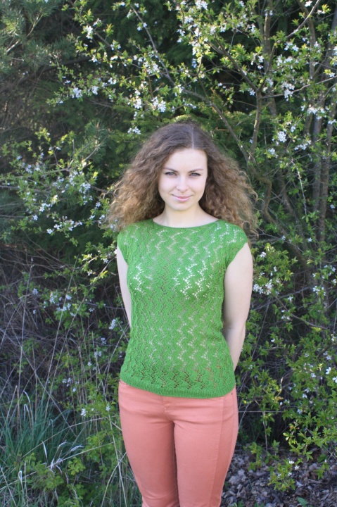 Knitted blouse " The verdure "