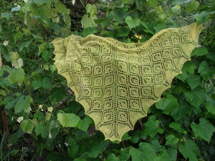kite scarf